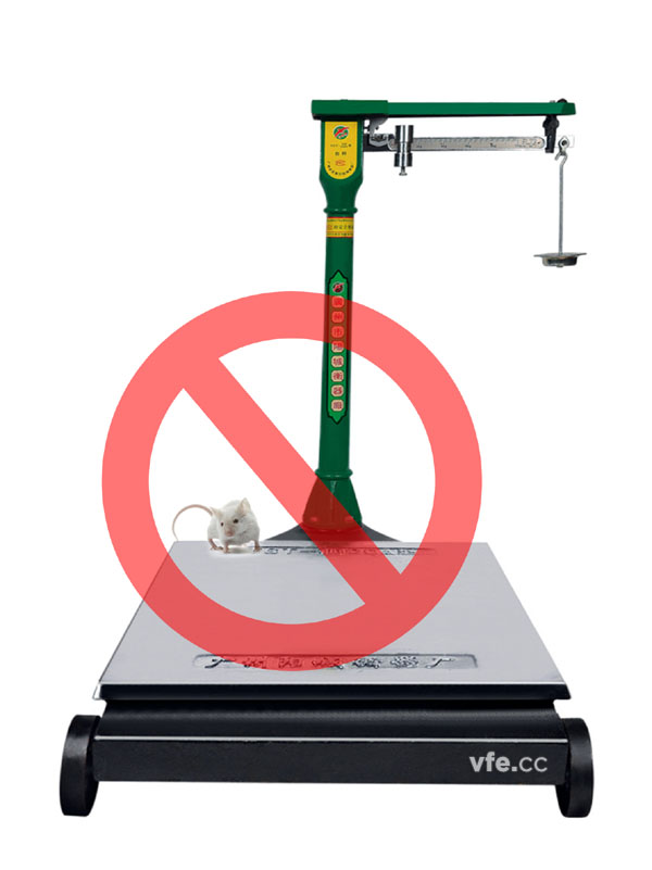 磅秤稱(chēng)小老鼠 磅秤稱(chēng)小老鼠