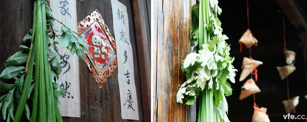 端午習俗“掛菖蒲插艾葉” 端午習俗“掛菖蒲插艾葉”