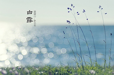 白露降，秋意濃