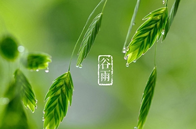谷雨，播種希望