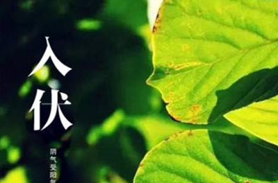 入伏在即，酷暑將至