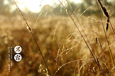 寒露已至，注意添衣防寒