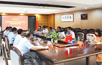 國網(wǎng)電力領(lǐng)導團隊來(lái)訪(fǎng)銀河電氣