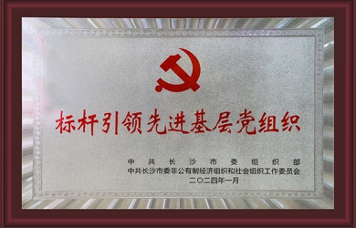 銀河電氣黨支部獲評“標桿引領(lǐng)先進(jìn)基層黨組織”