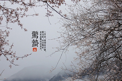 春雷起，驚蟄出