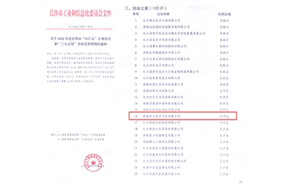 熱烈慶賀我司旗下子公司深點(diǎn)軟件進(jìn)入長(cháng)沙“三百之星”企業(yè)名單